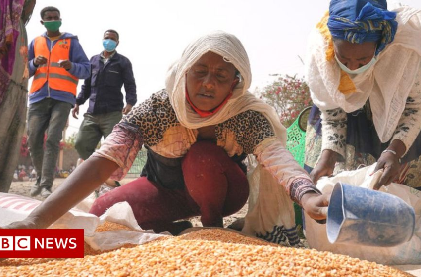  Ethiopia civil war: Doctors among those begging for food in Tigray – BBC News