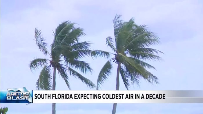  Freeze and wind chill watches are in effect from late Saturday to Sunday morning – WPLG Local 10