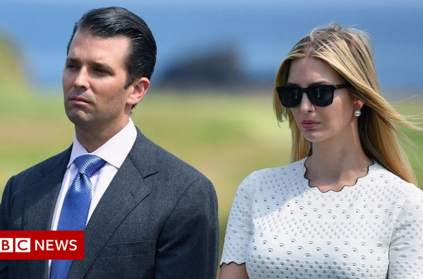  Donald Trumps children refuse to testify in fraud inquiry – BBC News