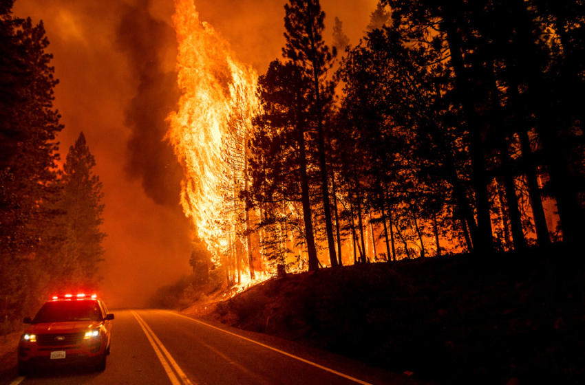  California’s massive Dixie Fire ignited after tree fell on PG&E electrical lines, officials say – NBC News