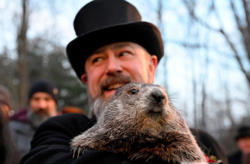  Punxsutawney Phil sees his shadow — 6 more weeks of winter loom – CNN