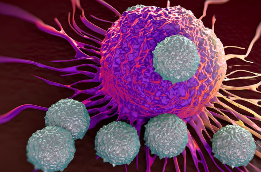  CAR T-Cell Therapy Prevented Leukemia Cancer Remission in Patients for Over 10 Years – The Daily Beast