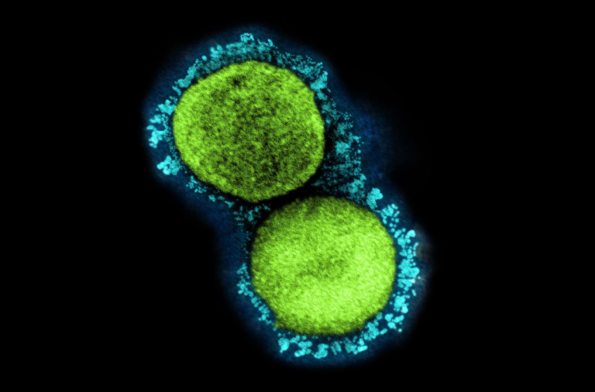  Four Omicron Sub-Variants Now Being Tracked Worldwide By WHO; BA.2 Dubbed “Variant Of Concern” – Deadline