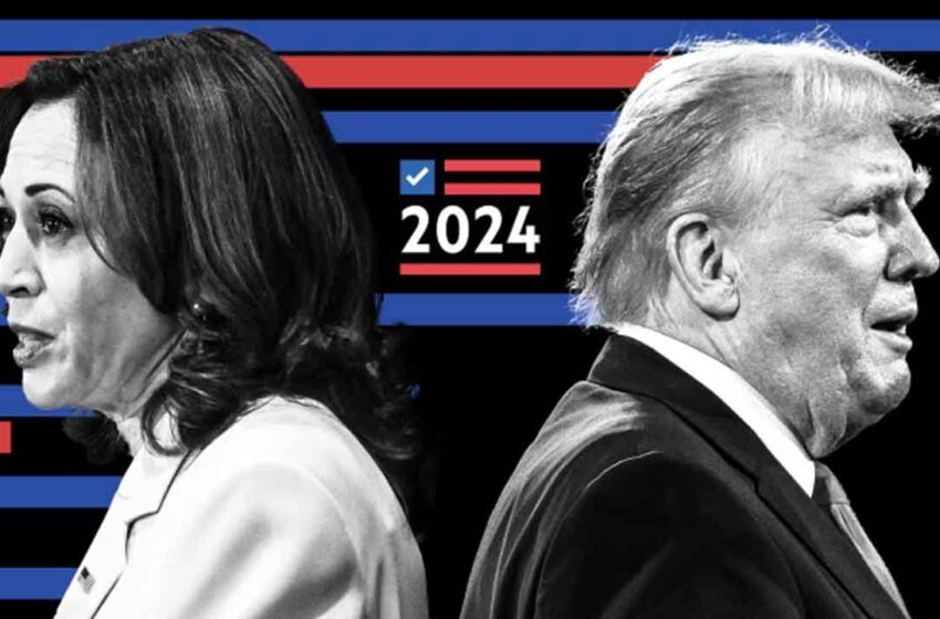  Trump vs Harris : quel impact pour la politique étrangère américaine ?