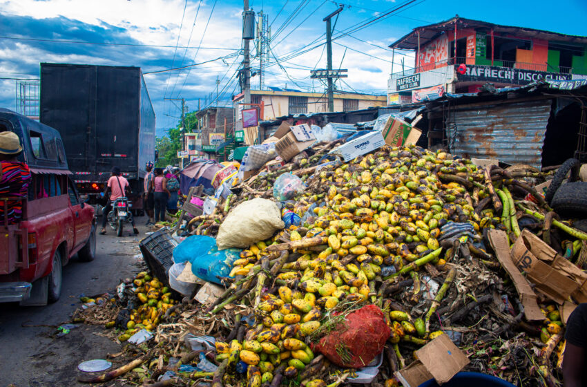  Pétion-Ville face aux catastrophes naturelles et à une gestion municipale défaillante