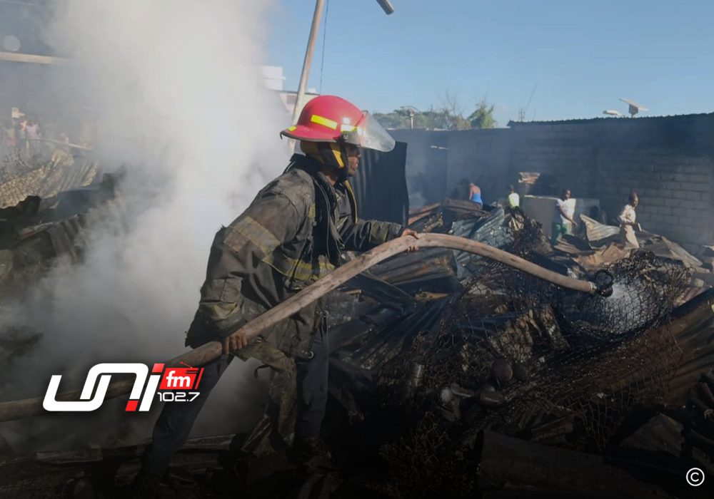 8c8ea60e-fbe0-498c-8227-7be56da0859c