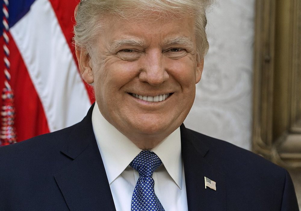 Official portrait of President Donald J. Trump, Friday, October 6, 2017.  (Official White House photo by Shealah Craighead)